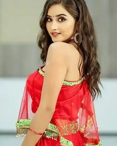 Call Girls Service Vaniyambadi